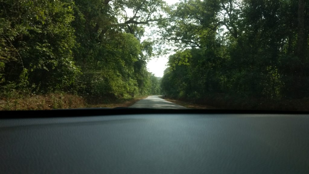 A road trip to Sirsi Karnataka