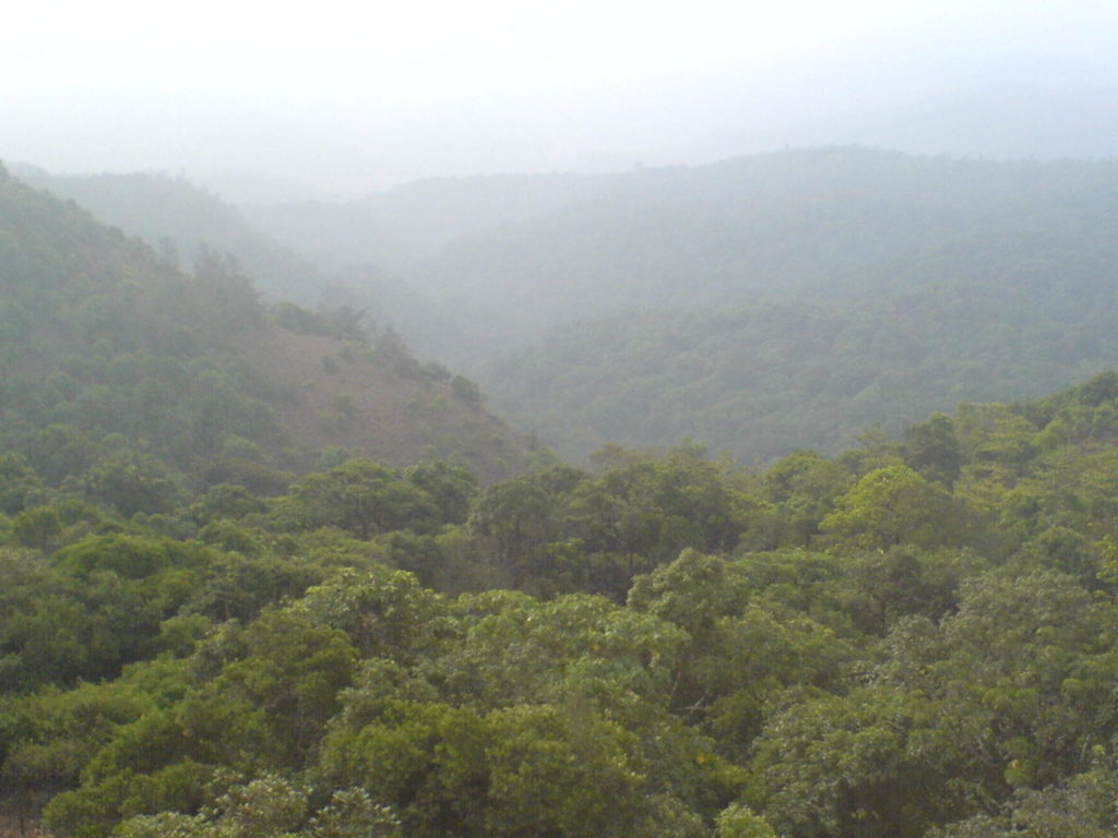 View from Raja's Seat at Madikeri a popular sunset view point.