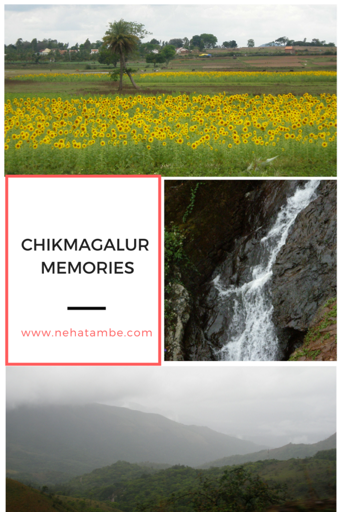 Our jinxed trip to Chikmagalur