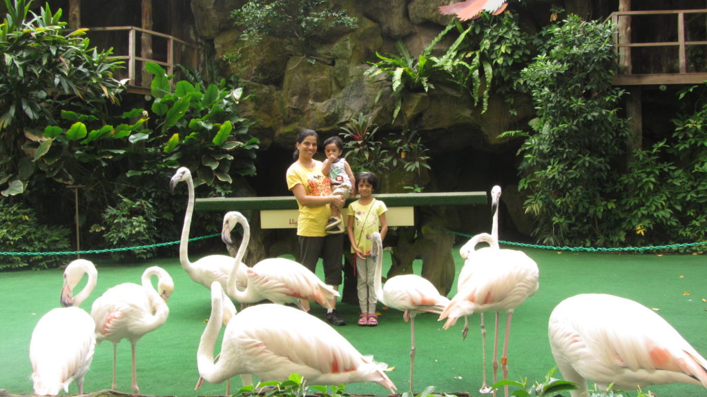 Visit to Jurong Bird Park