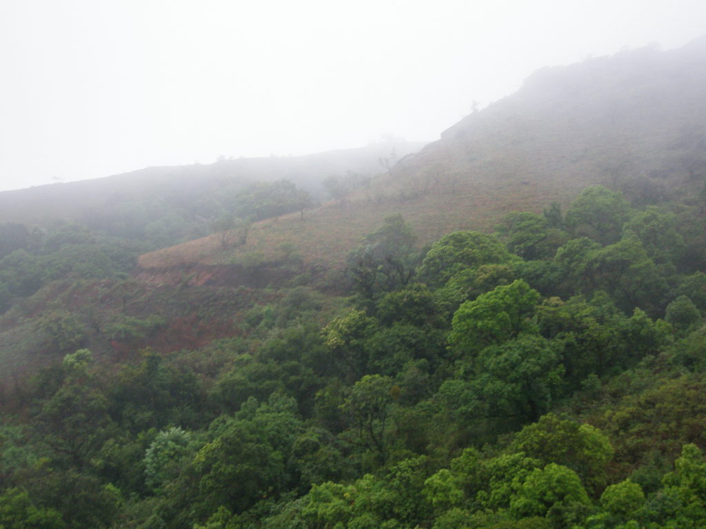 The mist covered valley of Baba Budangiri
