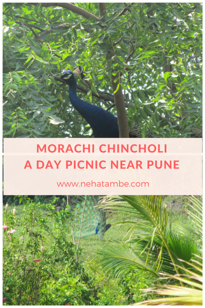 Agro-tourism at morachi chincholi near Pune