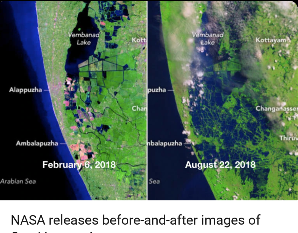 Rehabilitating Kerala - Let’s help pick the pieces