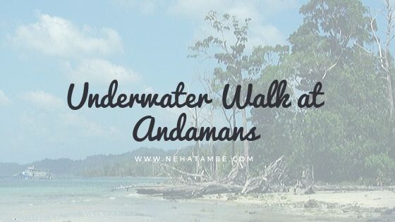 underwater walk in Andamans an experience