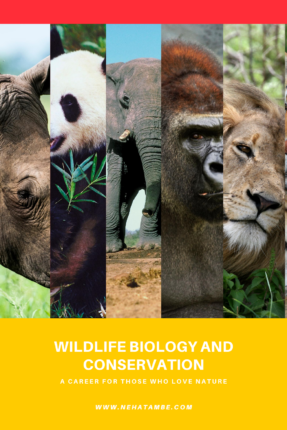 Wildlife Biology And Conservation - A Career For Those Who Love Nature ...