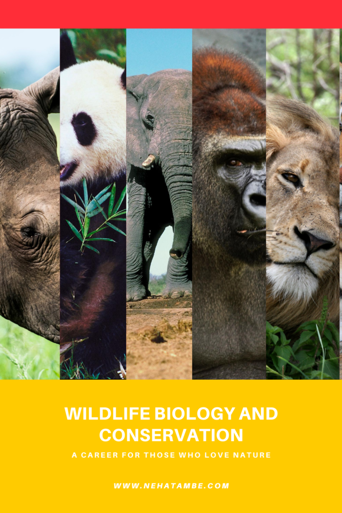 Wildlife Biology and Conservation - a career for those who love nature