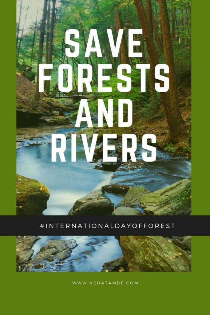 International Day of Forests, World Water Day